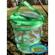 thumbnail image 4 of Kit de cultivo de mariposas Nature Bound con Live Caterpillar Kids, 4 of 5