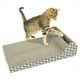thumbnail image 2 of Rascador Y Sala De Juegos Para Gatos Con Pelota Sonora, 2 of 5