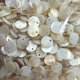 thumbnail image 1 of suxuMhao Brasieres de Costura, 100 Piezas 18L Botones Beige Tipo Concha, Botones Decorativos Brasieres de Tela Botones para Manualidades Botones para Ropa Botones de Costura para Proyectos de, 1 of 3