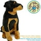 thumbnail image 2 of Peluche de peluche VIAHART Ronin The Rottweiler, 35 cm, 2 of 3