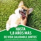 thumbnail image 3 of Alimento Húmedo Perro Adulto Sabor Carne Pouch, 100 g, 3 of 8