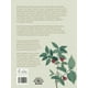thumbnail image 4 of Cultivar Plantas Aromáticas, 4 of 6