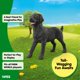 thumbnail image 3 of Figura de juguete Schleich Perro Labrador negro 14923, 3 of 5
