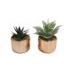 thumbnail image 2 of Macetero Planta 8cm, 2 of 3