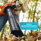 thumbnail image 4 of Soplador de hojas y aspiradora de hojas BLACK+DECKER BV6000 12A, 4 of 5