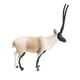 thumbnail image 2 of Figuras De Animales De Vida Silvestre, Modelo De Figuras De Animales Para Suministros De Fiesta, Antílope Tibetano Para Niños Pequeños, 2 of 3