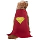 thumbnail image 4 of Disfraz de mascota, rubíes, superhéroes de DC Comics, Superman Small, 4 of 5