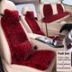 thumbnail image 2 of Fundas de asiento Seemehappy rojo con estampado de leopardo, ajuste universal, 2 of 7