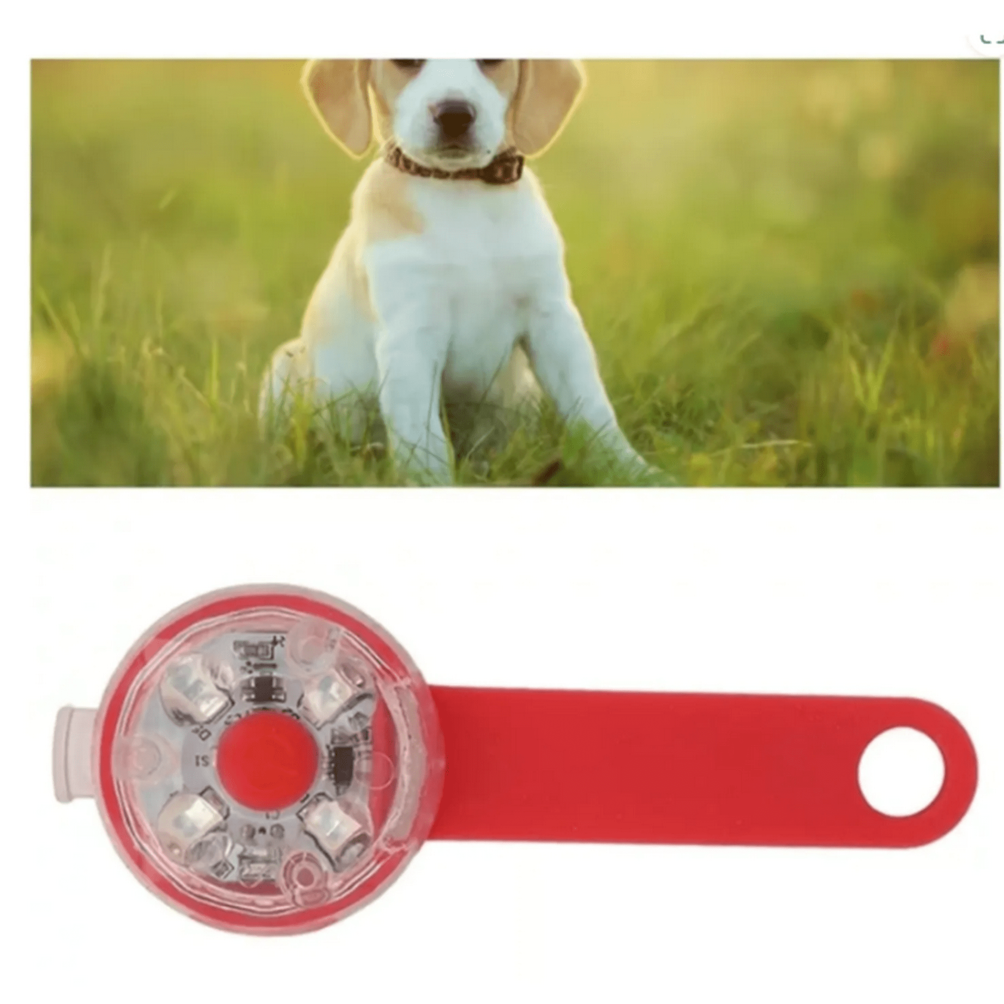 Genérico - Collares De Perro Con Luz Led De Alta Capacidad Rojo