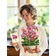 thumbnail image 4 of Tarjetas desplegables de papel recién cortado Orchid Oasis Forever Flower, 4 of 9