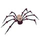 thumbnail image 1 of Figura Iluminada De Araña Decorativa De Halloween Para La Entrada Del Porche, Recuerdos De Fiesta, Estilo A, 1 of 5