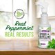 thumbnail image 2 of Mighty Mint Peppermint Oil Spider Repellent Spray, 16 oz, 2 of 3