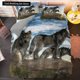 thumbnail image 1 of x1278 Bed SheetsWhite Wolf Pattern Bedding Set Animal Duvet Cover Full Size Bedding Set Men Soft Polyester Comforter Cover Black Grey 3-Piece Bedding Set (1 Duvet Cover + 2 Pillow Shams) nj1278, 1 of 5