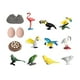 thumbnail image 2 of Figuras De Juguete De Animales, Minifiguras De Animales Realistas De Tubo Para Pájaros De Fiesta Temática, 2 of 3