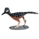 thumbnail image 4 of Figura De Juguete De Simulación Realista Juguete Educativo Para Edades Tempranas Para Diorama Cake Topper Roadrunner, 4 of 5