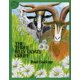 thumbnail image 1 of Libro Clarion – Los Tres Cabritillos, 1 of 2