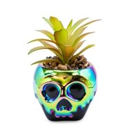 Maceta De Cerámica Disney Villains Evil Queen Poison Apple