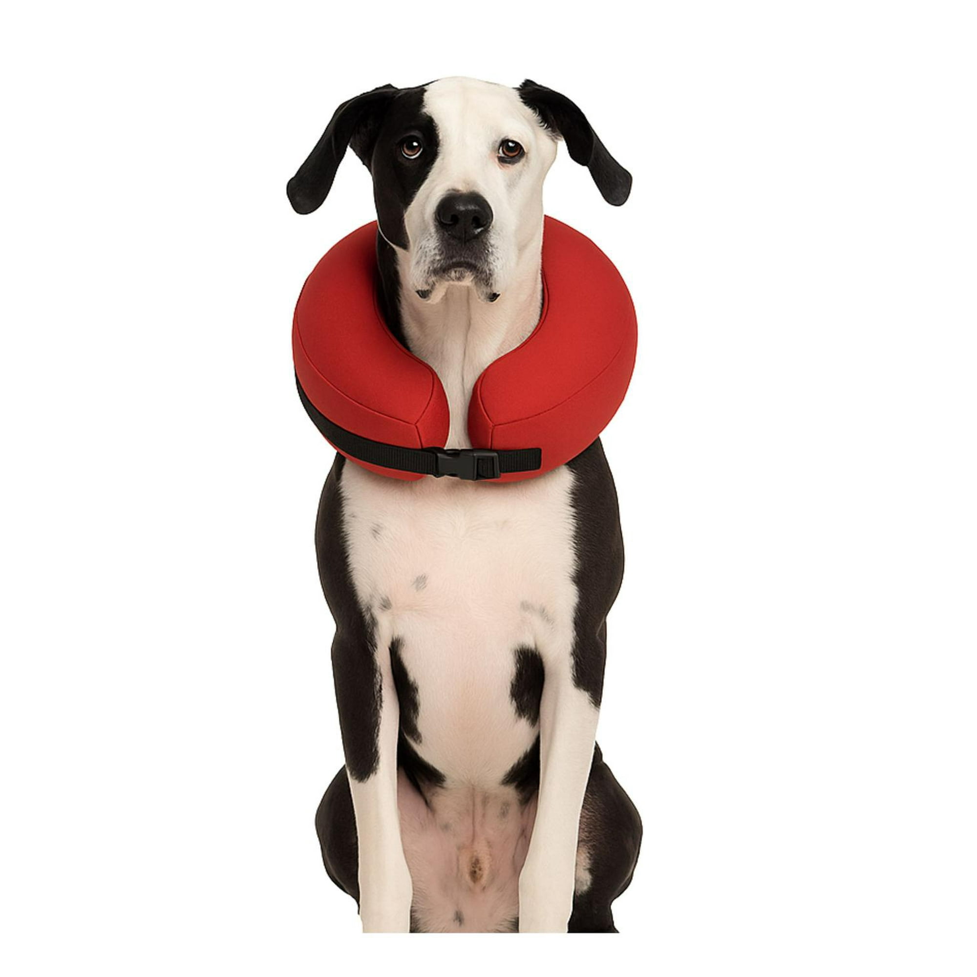 Genérico - Collar Inflable Xxl (+56 Cm) Recuperación Perros Grandes Blanco Xxl