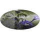 thumbnail image 1 of Alfombra Redonda de Felpa Coral Desmarcar 60cm, 1 of 6