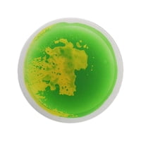 Bothyi - Liquid The Tiles Alfombra De Juego De Actividades Redonda De 30 Cm Para Niños Y Niños Amarillo Y Verde