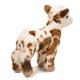 thumbnail image 3 of Peluche de peluche de cabra Douglas Gerti de 23 cm de altura, 3 of 8