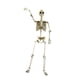 thumbnail image 5 of Adorno De Esqueleto De Terror Para Halloween, Flexible, Para Fiestas Al Aire Libre, Festivales, 40 Cm, 5 of 5
