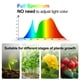 thumbnail image 2 of Grow Light JINHONGTO con soporte y temporizador de 36 W para bonsái, 2 of 6