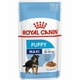 thumbnail image 1 of Royal Canin Maxi Puppy Pouch 140 Gr, 1 of 1