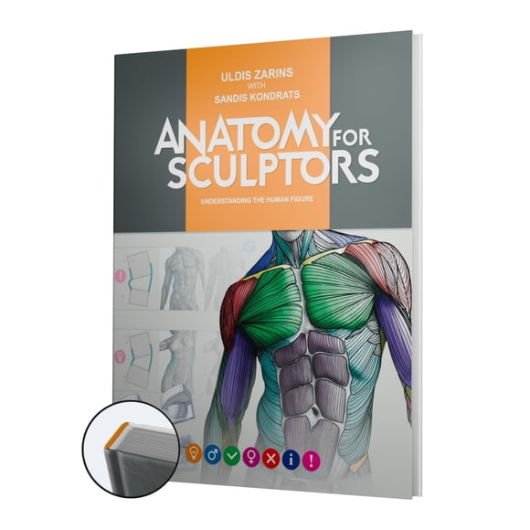 Anatomía para Escultores: Comprendiendo la Figura Humana