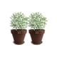 thumbnail image 1 of Set de 2 Maceta Kony 15cm Morena Natural y sus platos, 1 of 3