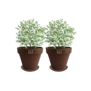 Mestiza - Set De 2 Maceta Kony 15Cm Morena Natural Y Sus Platos