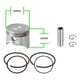 thumbnail image 2 of Kit Pistón Y Anillos Motor Para Honda Gx390 13hp 188f, 2 of 4