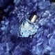 thumbnail image 3 of Perfume Lolita Lempicka Mon Premier Eau de Parfum, 30 ml, 3 of 6