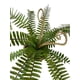 thumbnail image 2 of Helecho Espada 61cm Artificial, 2 of 3