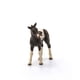 thumbnail image 2 of Figura de juguete Schleich Pinto Poal Realistic Spotted Horse Kids, 2 of 5