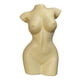 thumbnail image 2 of Florero De Cuerpo Femenino Maceta De Resina Estatuas De Mujer Adorno De Escritorio Decoración Amarillo 19x15x30.5cm, 2 of 5