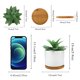 thumbnail image 4 of Plantas suculentas artificiales de agave Hopewood de imitación con macetas de cerámica, 4 of 8