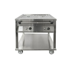 Baño Maria Movil 2 Gn 1/1 Volter