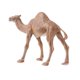 thumbnail image 5 of Figuras De Modelos De Animales Realistas, Juguete Educativo Para Ni?os, Regalo, Dromedario, 5 of 5