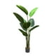 thumbnail image 1 of Planta Artificial Bird Of Paradise 10 Hojas 155 Cm, 1 of 3