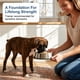 thumbnail image 4 of Suplemento de Crecimiento CPN 4 lb para Cachorros y Perras Gestantes o Lactantes, 4 of 7