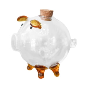 Magideal - Alcancía Transparente, Botella De Almacenamiento, Caja Decorativa Para Billetes, Caja De Ahorro Para Regalo De Cumpleaños, Estantería De Oficina, Mesa