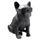 thumbnail image 2 of GREEN E PERRO MEDIANO NEGRO, 2 of 2