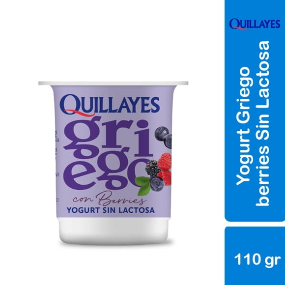Yoghurt Griego sin lactosa con trozos Sabor Berries Pote, 110 g