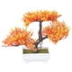 thumbnail image 4 of árbol De Bonsái De Plantas Artificiales Para El Hogar, Jardín, Oficina, Pared, Estantería, Decoración, Amarillo, 4 of 5