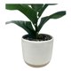 thumbnail image 3 of Planta Artificial 2 31cm, 1 unidad, 3 of 4