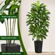 thumbnail image 3 of Árbol Artificial FSOHOI 152 cm con Maceta Negra, 3 of 9