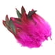 thumbnail image 3 of 50 Plumas Para Manualidades, Decoración Para Bodas, Joyería, Color Rojo Rosa, 3 of 5