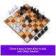 thumbnail image 5 of Juego de ajedrez Spin Master Games Cardinal Classics Chess Teacher, 5 of 7