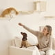 thumbnail image 4 of Set de estanterías de pared para gatos FUKUMARU 4 en 1 de madera para trepar, color beige, 4 of 9